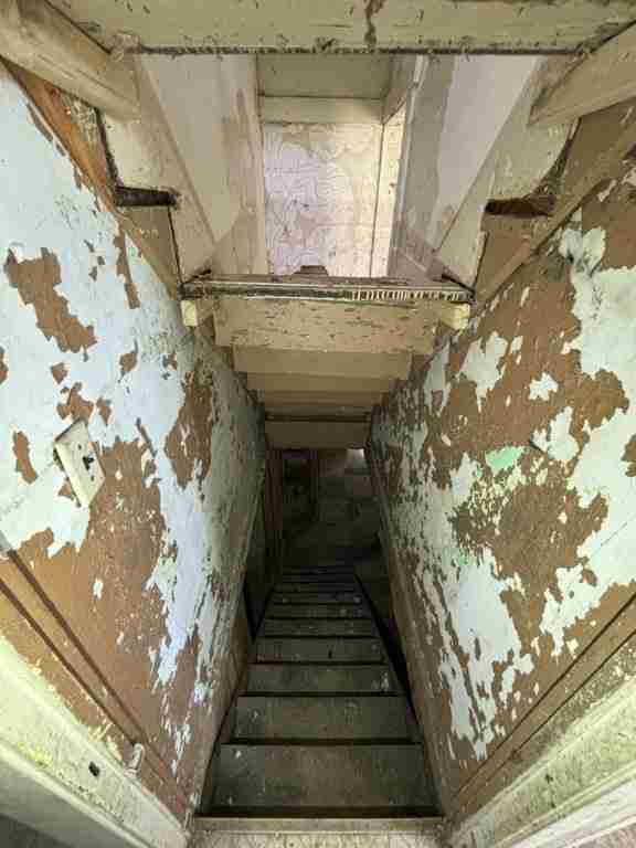 20241017_162748602_iOS (2).jpg